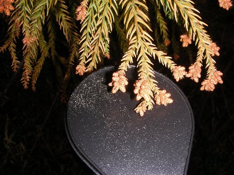 DSCN9154