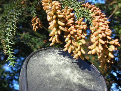 DSCN0724