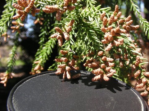DSCN9923