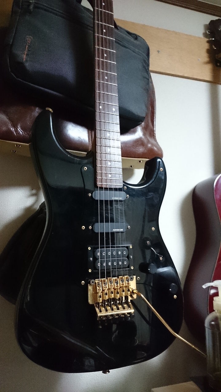 Fernandes Function FST-55 : 音楽とギターと独り言・・・・とカメラ
