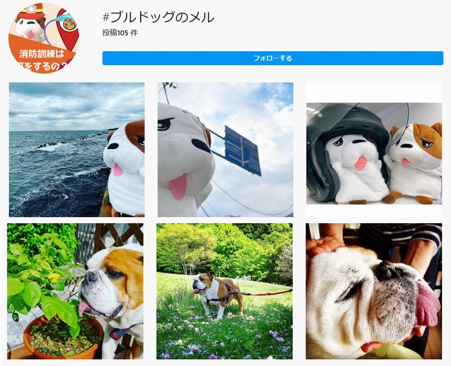 #�֥�ɥå��Υ��