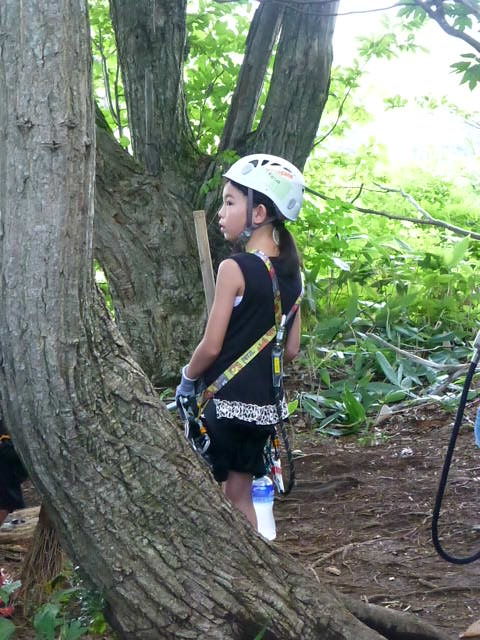 ひるがの高原 ジップライン ツリークライミングinひるがの高原スキー場 コキアパーク 夜の窓辺から Frauen Liebe Und Leben