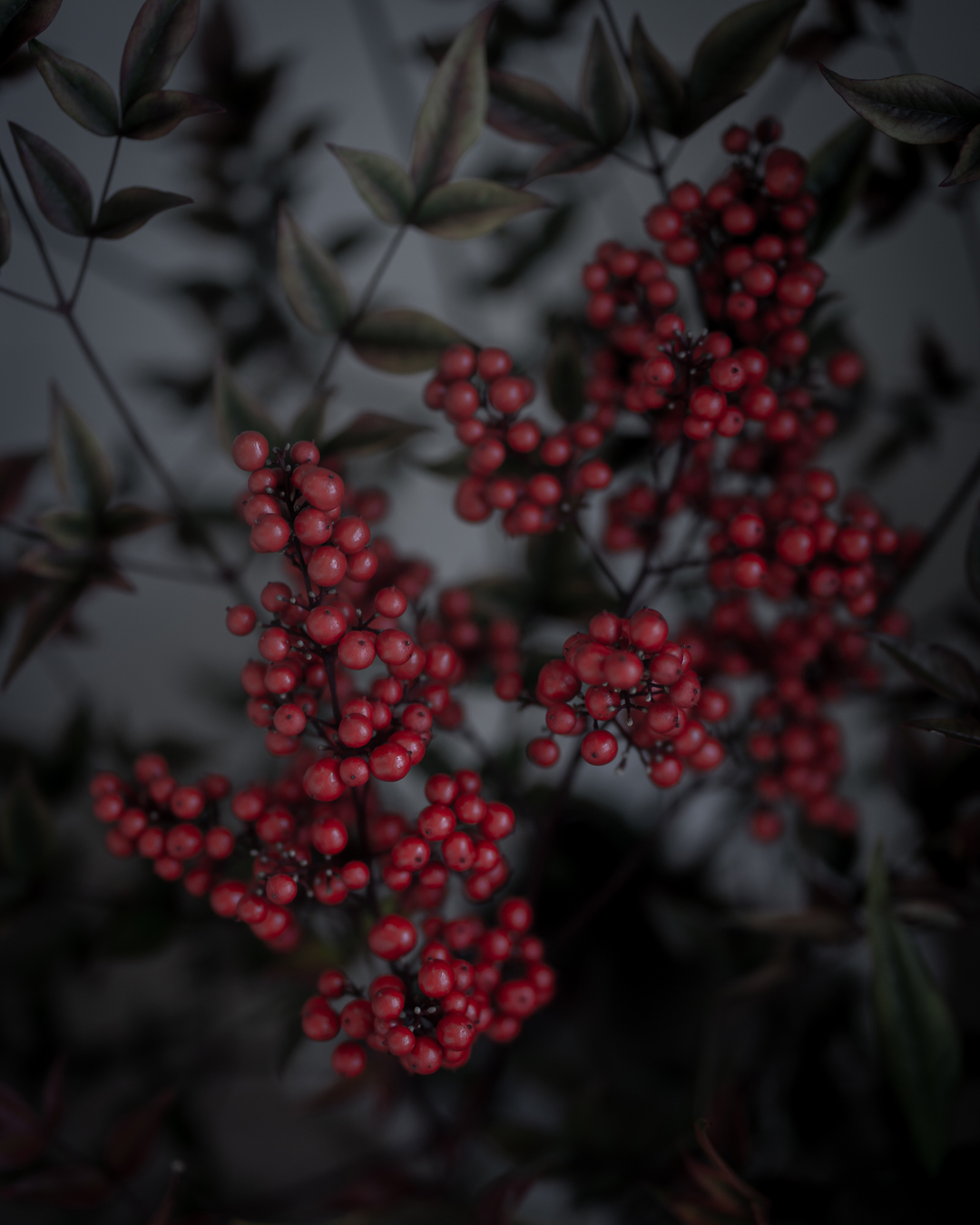 20191231-DSC06804