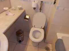 PA070239