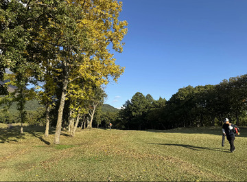 Image_20251017_164639_703