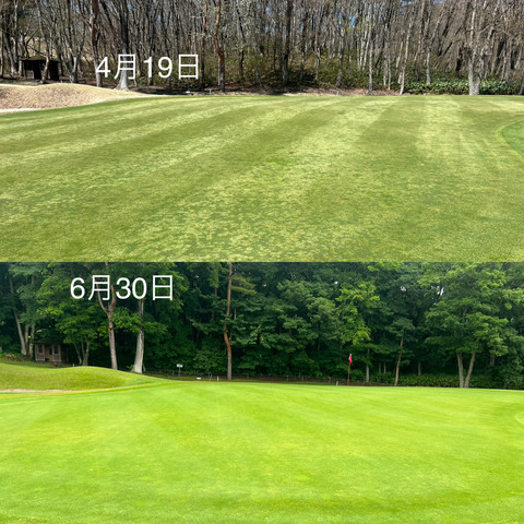 Image_20230630_195326_297