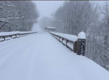 Image_20251205_092715_301