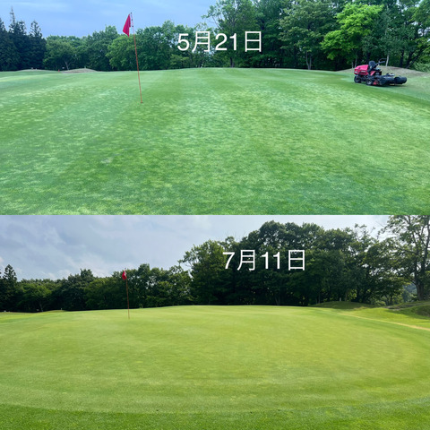 Image_20230711_193741_800