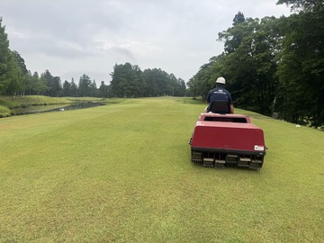 Image_20250710_081825_030