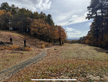 Image_20251111_173909_743