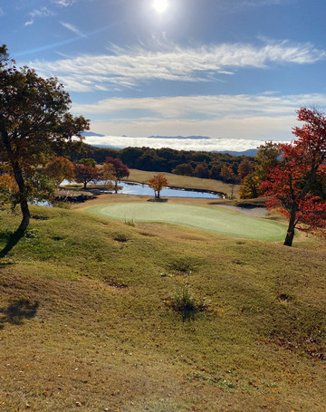 Image_20251105_104152_462