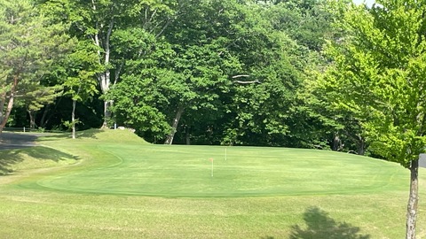 Image_20230620_161002_428