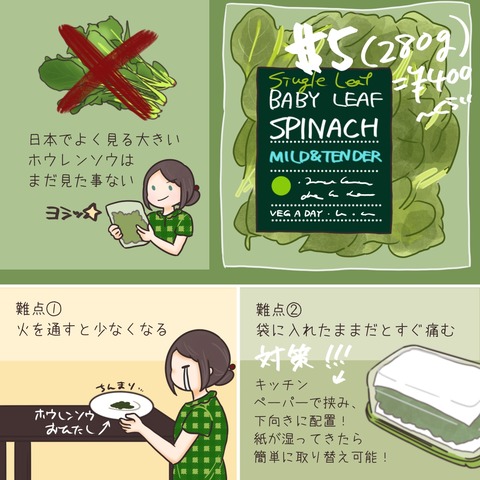 ホウレンソウ③