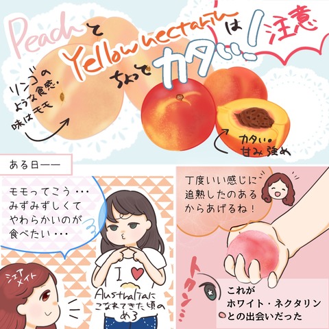 ホワイトネクタリン②