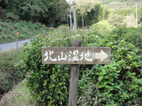kitayama swamp 01