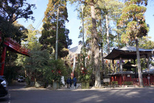 hatsumoude 03
