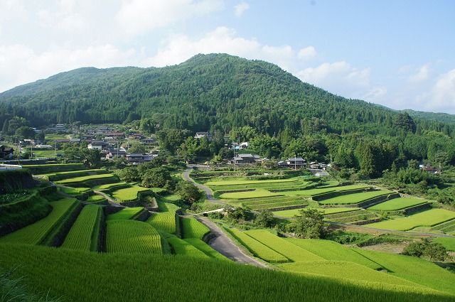 坂折棚田 L Photo Collection 四季蒼想