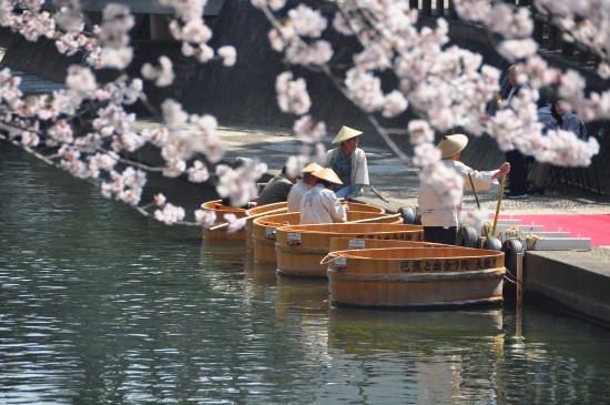 芭蕉と出会う街 大垣 たらい舟 L Photo Collection 四季蒼想 芭蕉と出会う街 大垣 たらい舟 L Photo Collection 四季蒼想