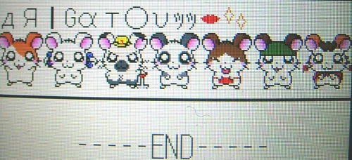 お父さんお母さんの為のギャル文字講座 笑 L Photo Collection 四季蒼想