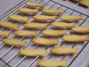 型抜きクッキーしまじろうとお魚05