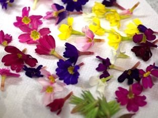 花のオレンジゼリーf