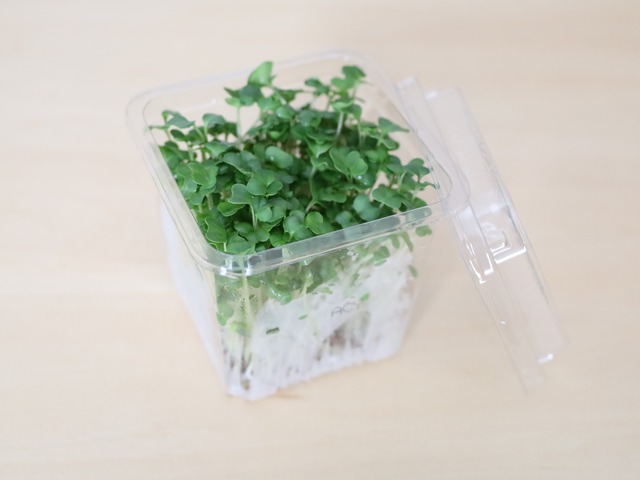 簡単サーモンのカルパッチョ01
