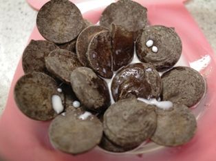チョコと牛乳のみの超簡単トリュフ粉糖まぶし01