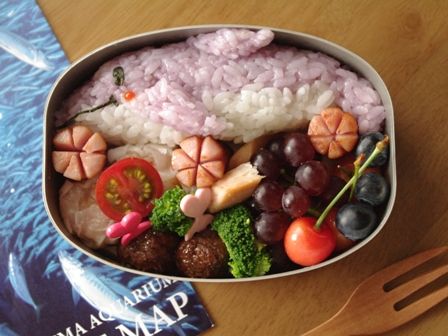 イルカのお弁当