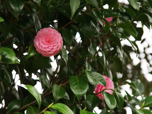 f063cb63.jpg
