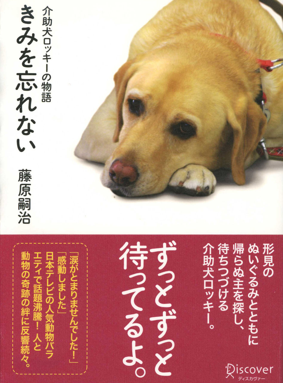 romのtorrent romのtorrent