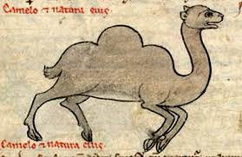 Bibliothèque Nationale de France, lat. 6838B, Folio 15v