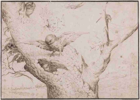 ヒエロニムス・ボス、フクロウの巣1505-1515年頃