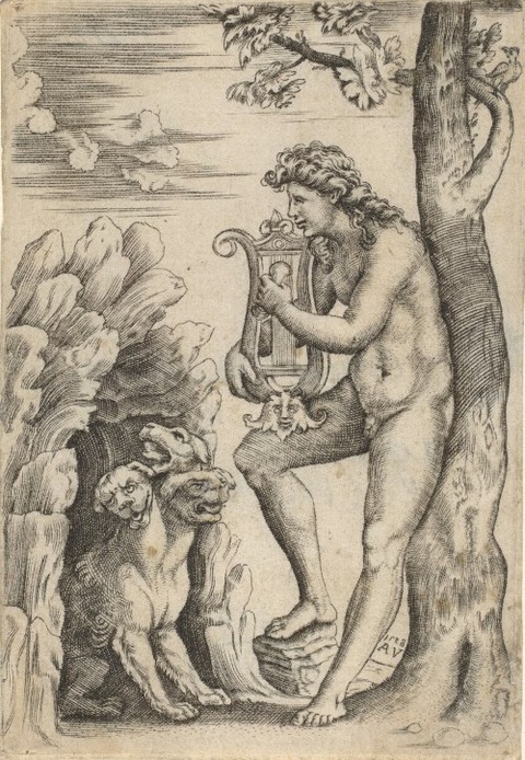 Agostino dei Musi 1528
