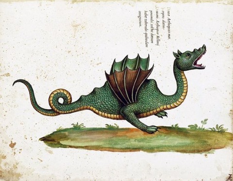 medieval italian dragon