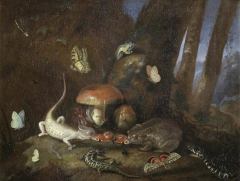 Otto Marseus van Schrieck A Forest Floor Lizards