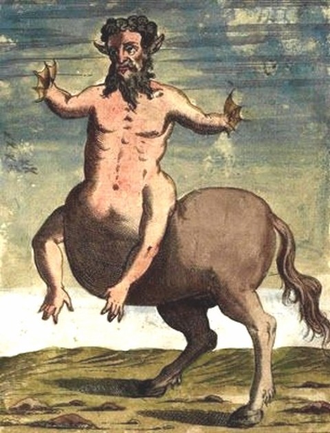 Ulisse Aldrovandi 5
