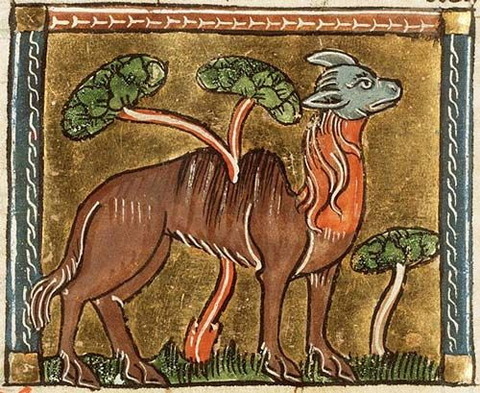 Medieval Bestiary