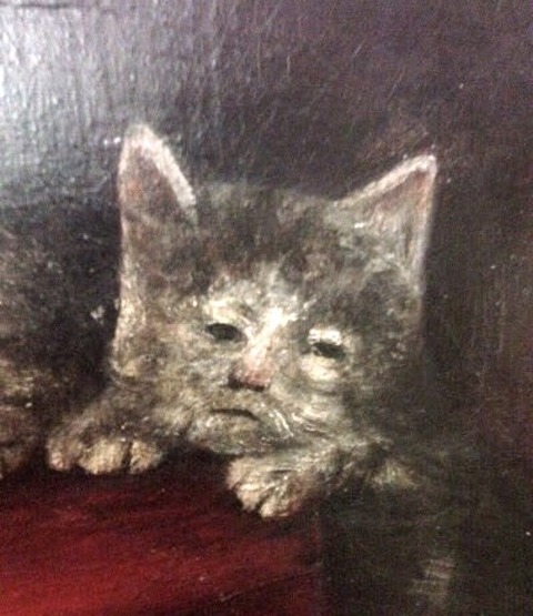 cat middle ages