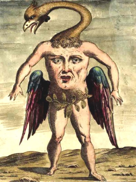 Ulisse Aldrovandi 3