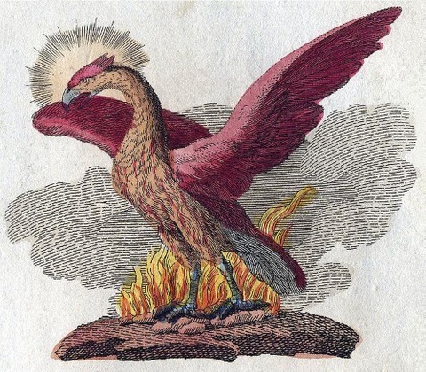 a book of legendary creatures by FJ Bertuch 1747–1822
