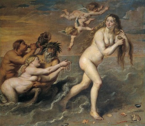 Cornelis de Vos - Nacimiento de Venus 17th