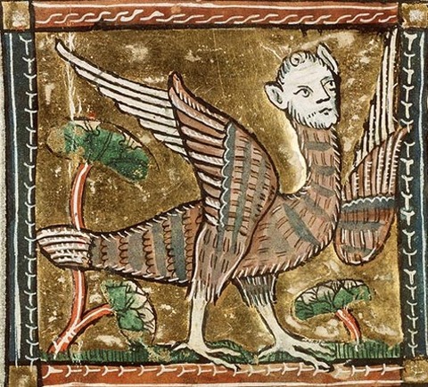 Medieval art of a harpy 1350