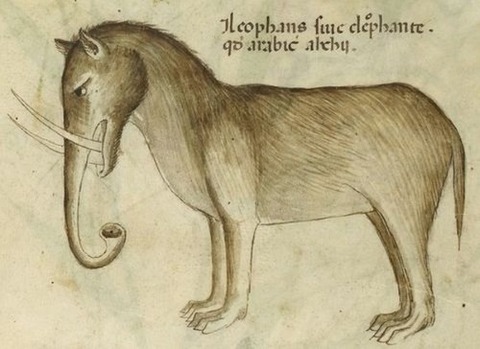 Middle Ages elephants