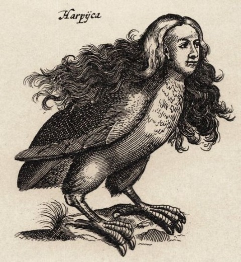 Ulisse Aldrovandi's Monstrorum Historia, Bologna, 1642