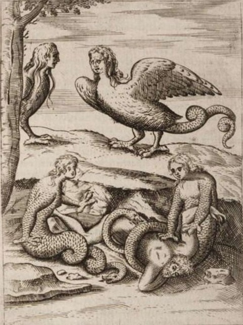 Harpies