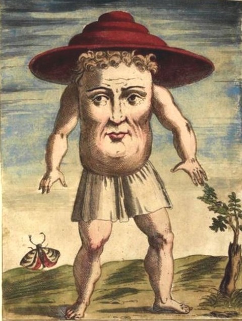 Ulisse Aldrovandi 1