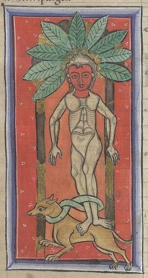 Medieval Bestiary