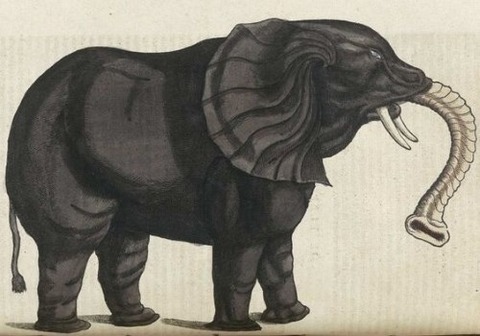Middle Ages elephants 14