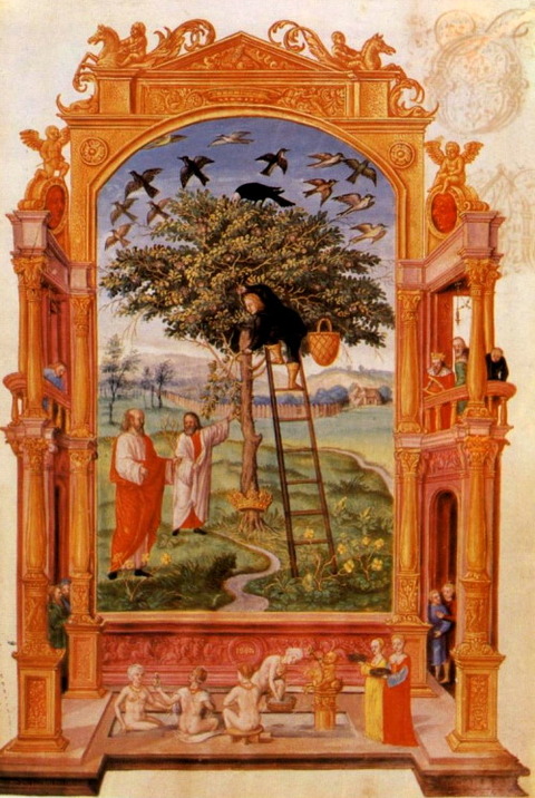 Splendor Solis 4