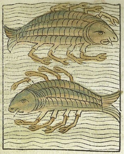 Hortus Sanitatis 1491